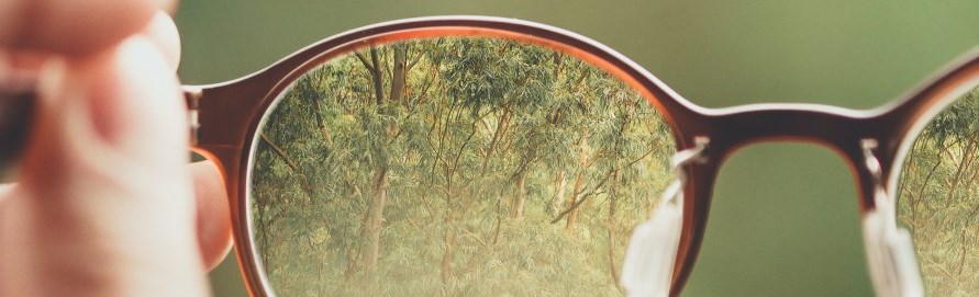 hand holding glasses. Trees in lens